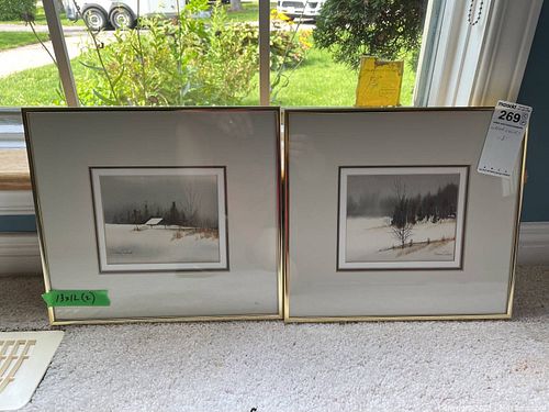 Lot #269 (1 of 10)