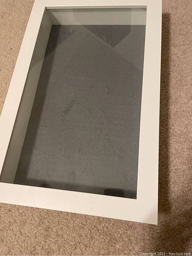 Lot #161 (1 of 2)