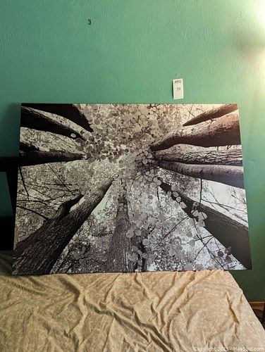 Lot #59 (1 of 3)