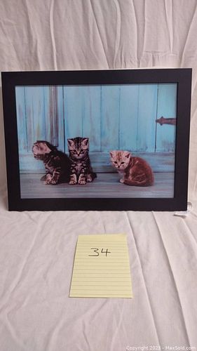 Lot #34 (1 of 3)