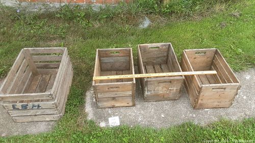 Lot #231 (1 of 6)