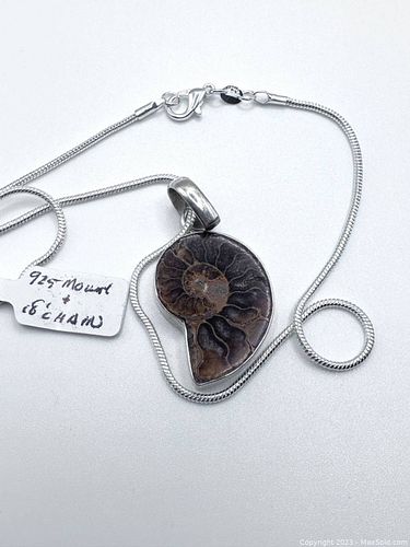 Lot #193 (1 of 5)