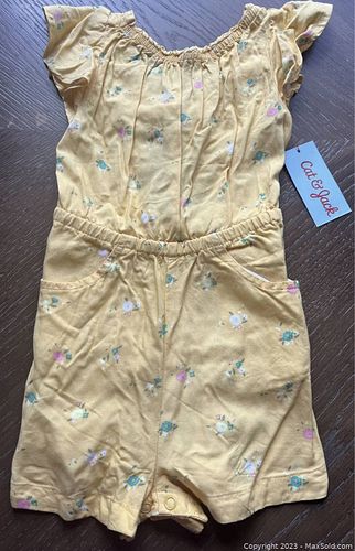 Lot #66 (1 of 2)