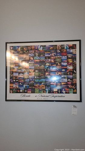 Lot #795 (1 of 10)