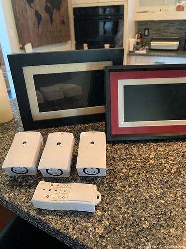 Lot #44 (1 of 6)
