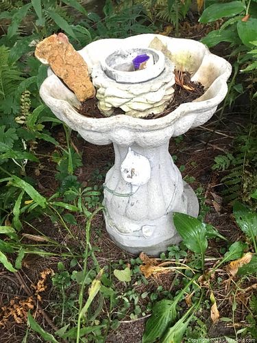 Lot #829 (1 of 12)