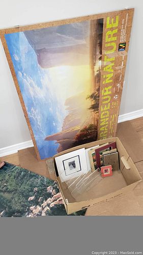 Lot #41 (1 of 2)