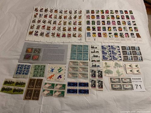 Lot #71 (1 of 11)