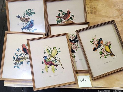 Lot #26 (1 of 14)