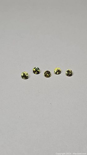 Lot #41 (1 of 10)