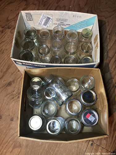 Lot #49 (1 of 3)