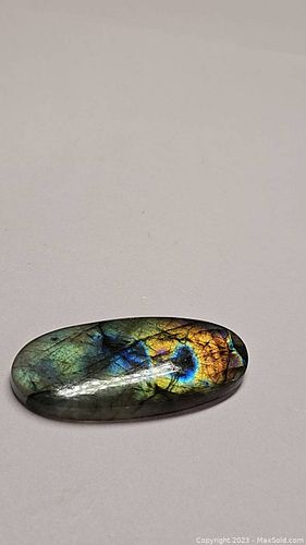 Lot #31 (1 of 8)