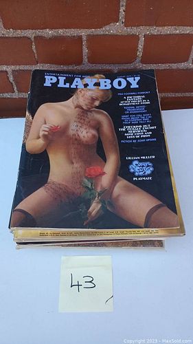 Lot #43 (1 of 4)