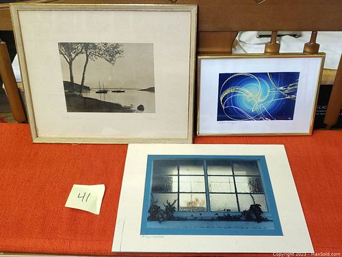 Lot #41 (1 of 12)