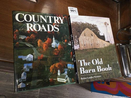 Lot #981 (1 of 10)