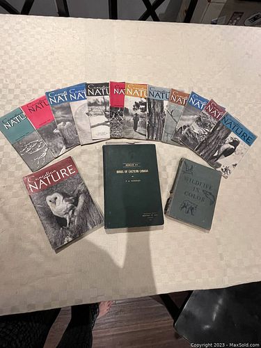 Lot #61 (1 of 3)
