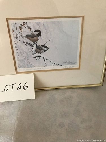 Lot #26 (1 of 2)
