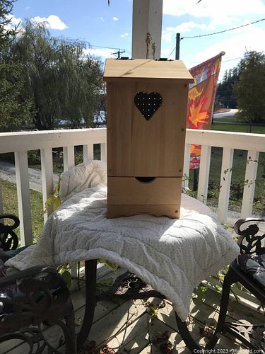 Lot #53 (1 of 1)
