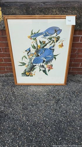 Lot #31 (1 of 5)