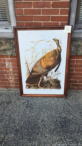 Lot #74 (1 of 6)