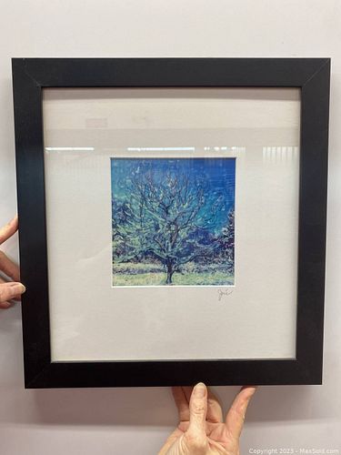 Lot #5 (1 of 3)