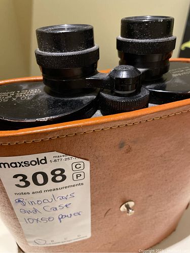 Lot #308 (1 of 9)