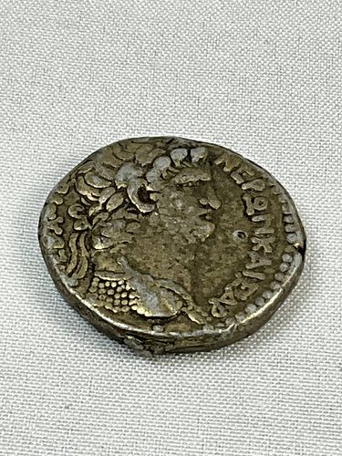 Lot #31 (1 of 8)