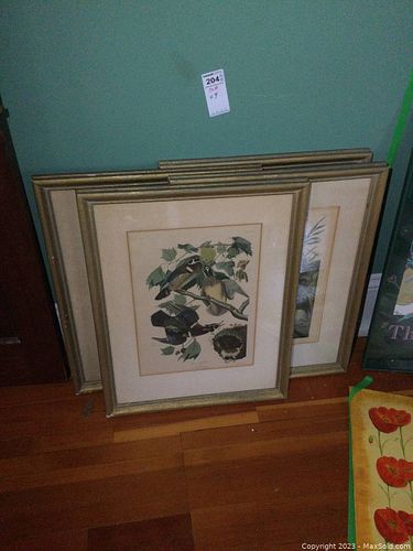 Lot #204 (1 of 17)