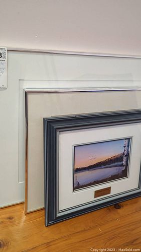 Lot #158 (1 of 12)
