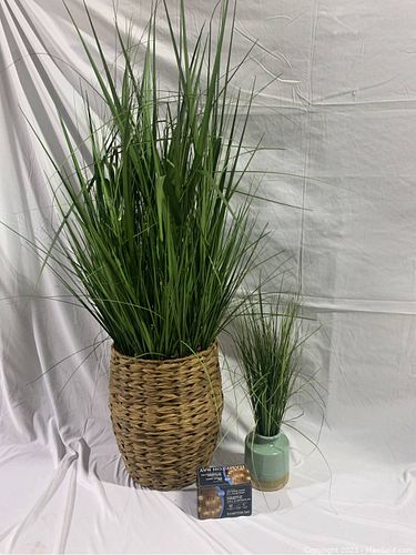 Lot #56 (1 of 3)