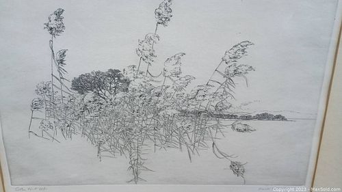 Lot #59 (1 of 6)