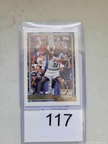 Lot #117 (1 of 2)