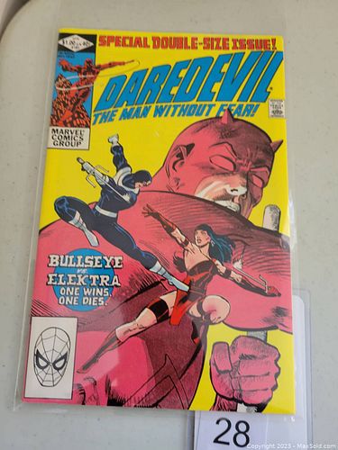 Lot #28 (1 of 2)