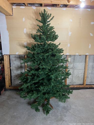 Lot #46 (1 of 3)