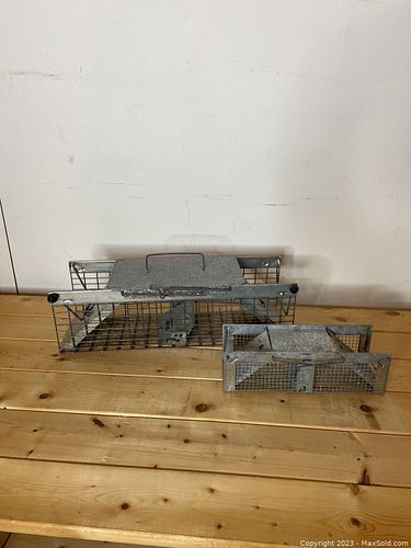 Lot #141 (1 of 3)