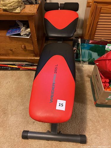 Lot #15 (1 of 2)