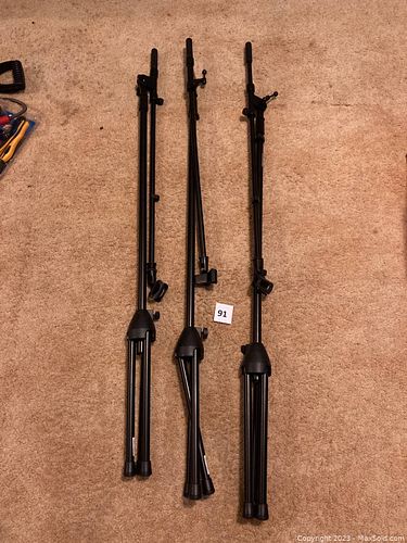 Lot #91 (1 of 3)