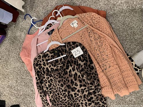Lot #23 (1 of 2)