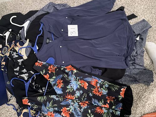 Lot #31 (1 of 2)