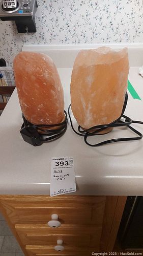 Lot #393 (1 of 7)