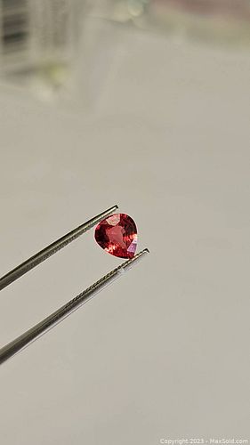 Lot #40 (1 of 18)