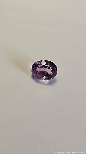 Lot #81 (1 of 8)