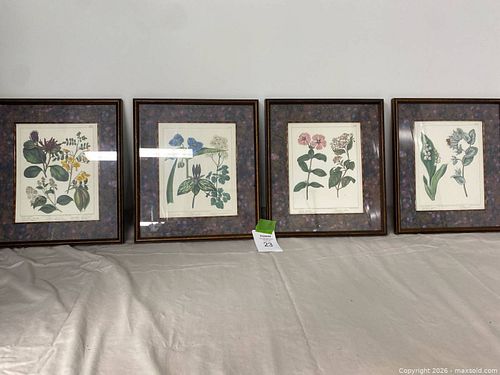 Lot #23 (1 of 6)