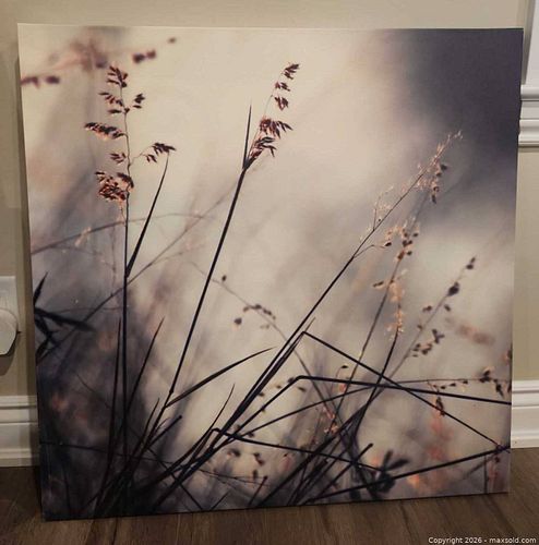Lot #55 (1 of 6)