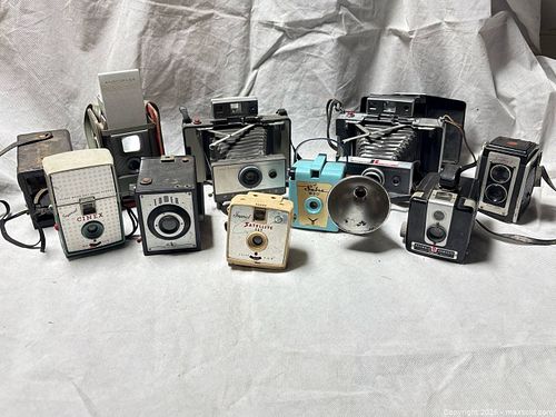 Lot #250 (1 of 16)