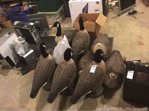 Lot #0564 (1 of 7)