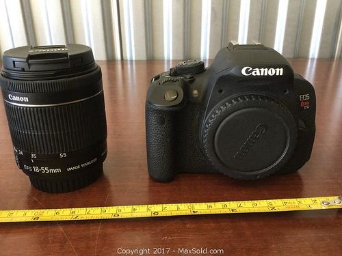 Lot #0037 (1 of 8)