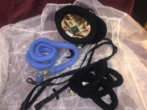 Lot #0190 (1 of 7)