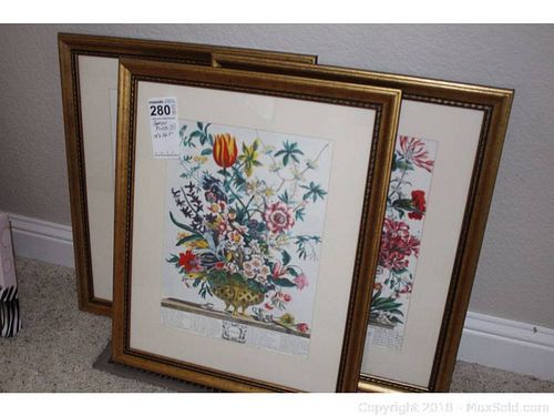 Lot #0280 (1 of 8)
