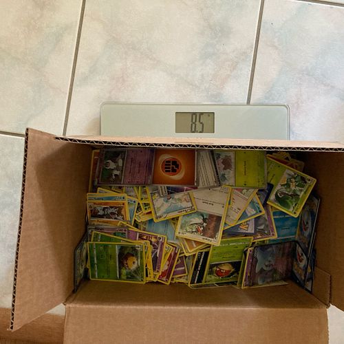 Lot #3 (1 of 7)